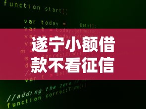 遂寧小額借款不看征信嗎？真實情況大揭秘！