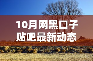 10月網黑口子貼吧最新動態：避坑指南+靠譜平臺推薦