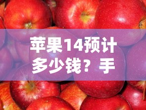 蘋果14預計多少錢？手頭緊也能入手的分期方案盤點