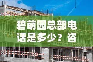 碧萌園總部電話是多少？咨詢貸款業務前必知的3個重點