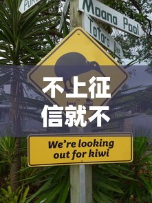 不上征信就不用還款嗎？3個真相讓你徹底清醒