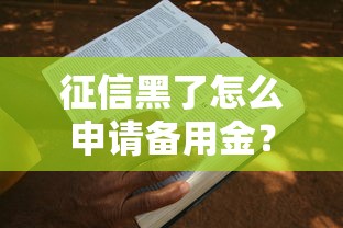 征信黑了怎么申請(qǐng)備用金？這5個(gè)方法或許能救急（附真實(shí)案例）