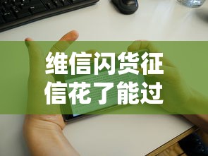維信閃貨征信花了能過嗎？這幾個避坑技巧要記牢