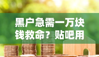 黑戶急需一萬塊錢救命？貼吧用戶分享3個(gè)救命方案
