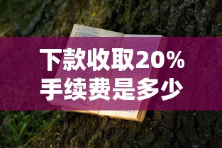 下款收取20%手續費是多少？算下來要交多少錢？了解清楚再申請不吃虧
