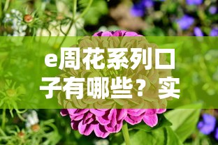 e周花系列口子有哪些？實測這5個平臺通過率高、到賬快