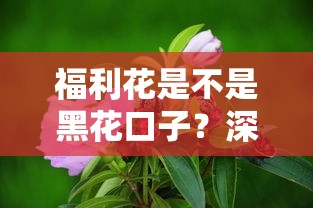 福利花是不是黑花口子？深度揭秘背后真相