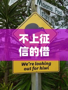 不上征信的借款平臺有哪些？5個渠道深度解析