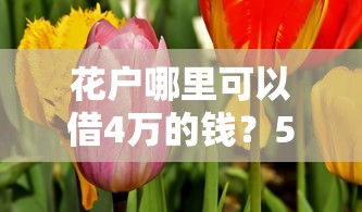 花戶哪里可以借4萬的錢？5個正規渠道實測對比