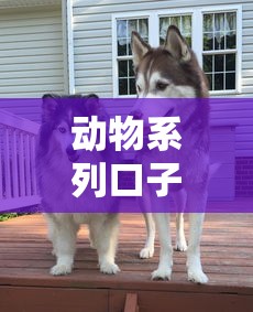 動(dòng)物系列口子哪個(gè)好下款？哎這5個(gè)平臺(tái)真能解燃眉之急
