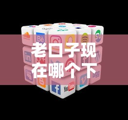 老口子現(xiàn)在哪個下款穩(wěn)？實測5個靠譜平臺