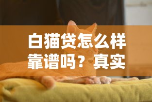 白貓貸怎么樣靠譜嗎？真實測評+避坑指南，看完再決定！