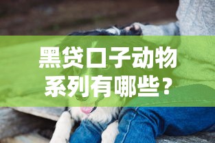 黑貸口子動物系列有哪些？這些平臺真的能下款嗎