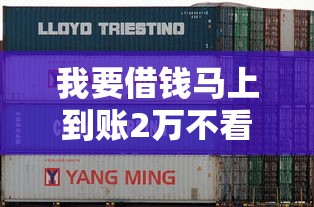 我要借錢馬上到賬2萬不看征信？這3個正規平臺或許能幫到你