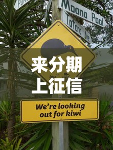 來分期上征信不上怎么辦？3招教你正確處理