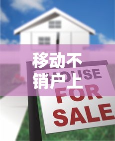 移動不銷戶上征信怎么辦？三步解決貸款難題