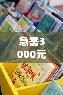 急需3000元哪里可以借？手把手教你選正規渠道