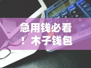 急用錢必看！木子錢包系列口子有哪些？實測5個靠譜平臺推薦
