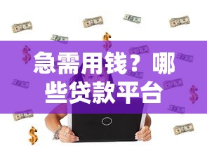 急需用錢？哪些貸款平臺(tái)審核快還正規(guī)靠譜