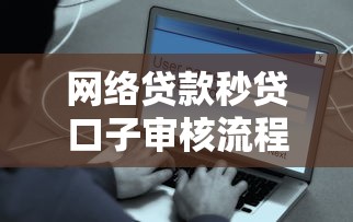 網絡貸款秒貸口子審核流程全解析！這些細節要注意