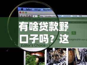 有啥貸款野口子嗎？這5個正規渠道更安心