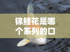 錦鯉花是哪個系列的口子？看完這篇就懂怎么選貸款