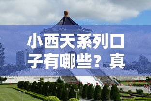 小西天系列口子有哪些？真實體驗后總結(jié)5個關(guān)鍵點