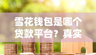 雪花錢包是哪個貸款平臺？真實用戶評測+申請避坑指南