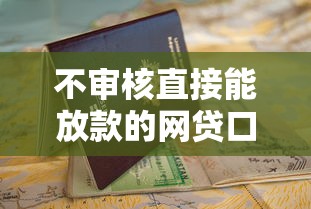 不審核直接能放款的網貸口子現狀分析與申請指南