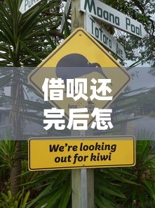 借唄還完后怎么不上征信？這幾點一定要注意