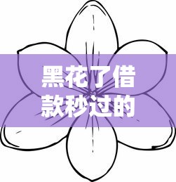 黑花了借款秒過的口子有哪些？實測這幾個平臺審核快、額度高