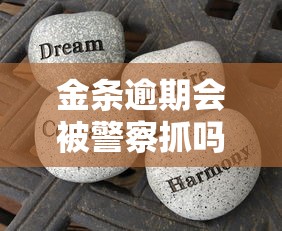 金條逾期會(huì)被警察抓嗎？看完這篇終于能睡安穩(wěn)覺(jué)了