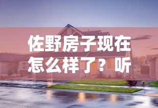 佐野房子現在怎么樣了？聽說她靠這招解決了貸款難題