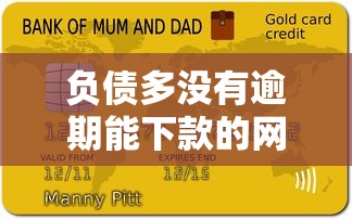 負債多沒有逾期能下款的網(wǎng)貸平臺有哪些？試試這幾個渠道