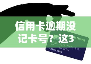 信用卡逾期沒記卡號？這3招解決貸款難題