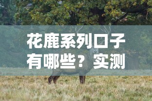 花鹿系列口子有哪些？實測10個真實下款渠道分析