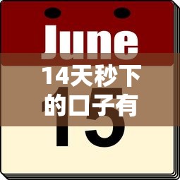 14天秒下的口子有哪些？這幾個平臺審核快、到賬穩！
