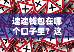 速速錢包在哪個口子里？這幾個靠譜平臺推薦給你