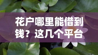 花戶哪里能借到錢？這幾個(gè)平臺(tái)或許能救急！
