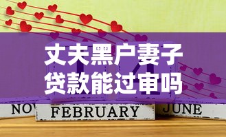 丈夫黑戶妻子貸款能過審嗎