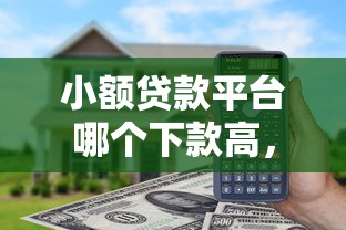 小額貸款平臺(tái)哪個(gè)下款高，實(shí)測(cè)后發(fā)現(xiàn)這3家最快！