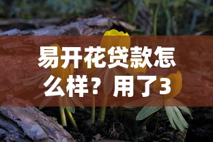 易開花貸款怎么樣？用了3個月才發現這些細節要注意