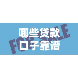 哪些貸款口子靠譜？這5個平臺通過率高，審核快！