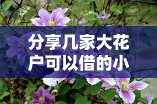 分享幾家大花戶可以借的小額貸 真實測評這5個低門檻平臺