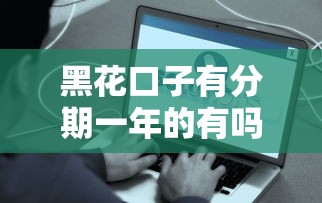 黑花口子有分期一年的有嗎？實(shí)測(cè)這些平臺(tái)能解決需求