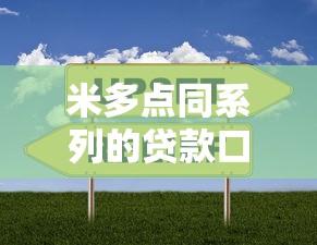米多點同系列的貸款口子有哪些靠譜選擇？實測對比分析