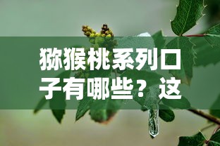 獼猴桃系列口子有哪些？這5款真實測評幫你避坑