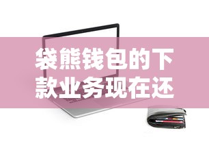 袋熊錢(qián)包的下款業(yè)務(wù)現(xiàn)在還在運(yùn)行嗎？用戶真實(shí)反饋來(lái)了