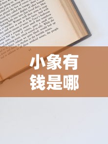 小象有錢是哪里的口子？實測資質與申請流程詳解