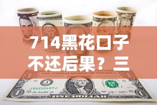 714黑花口子不還后果？三招解決債務危機
